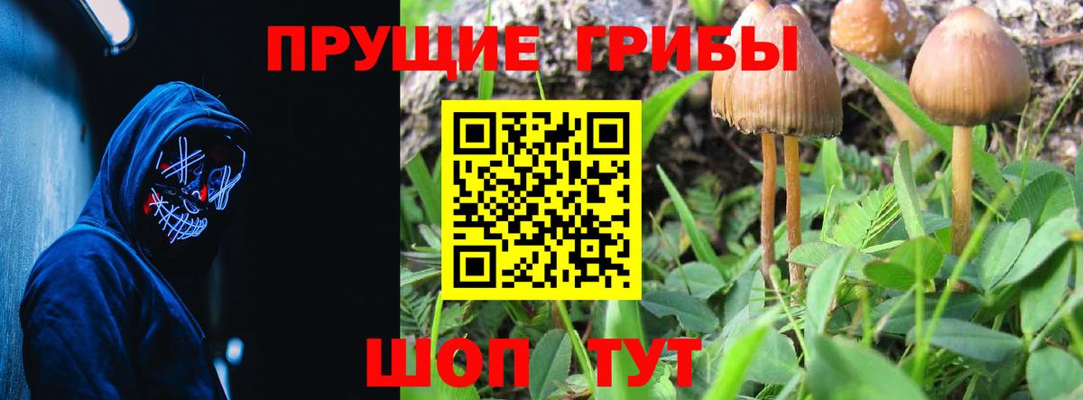 купить наркоту  Псилоцибиновые грибы мицелий  Вход с VPN  Москва 