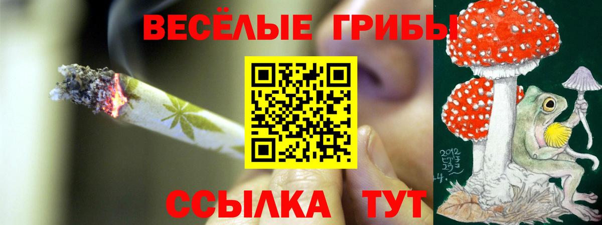 Псилоцибиновые грибы ЛСД Москва